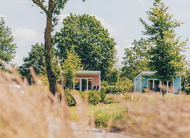 Farverigt chalet til 4 personer i Gelderland - 22