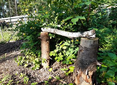 Knusse pipowagen midden in de natuur - 13