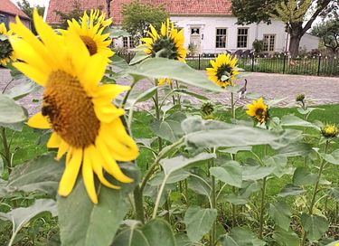 Rural B&B in beautiful surroundings - 12
