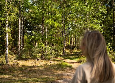 Glamping Kuppelzelt auf einem Campingplatz in Drenthe - 22
