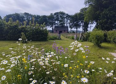 Ferienwohnung in Küstennähe in der Normandie - 19