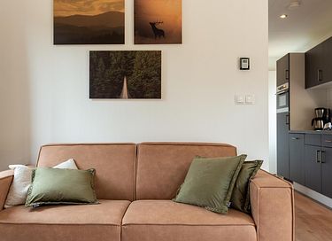 Logement de vacances de luxe (4p) au Luxembourg - 5