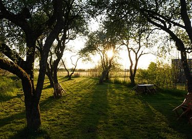 Staying stylishly among the meadows - 8