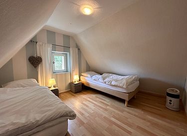 Villa privée au milieu de la forêt en Allemagne - 15