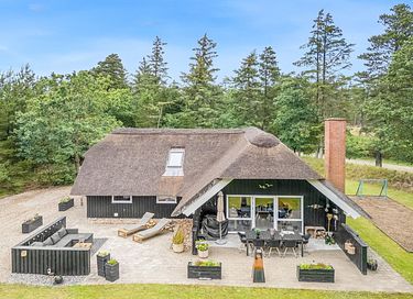 Prachtig vakantiehuis in Blåvand - 3