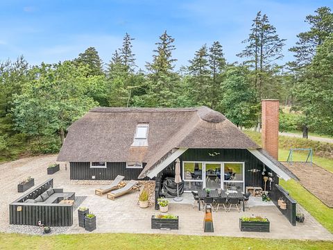 Prachtig vakantiehuis in Blåvand - 3