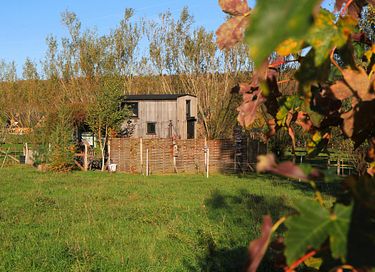 Tiny house avec sauna et bain à remous - 40