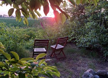 Charming yurt with a view of nature - 6