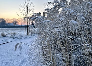 Sfeervolle B&B met uitzicht op paardenweide - 27
