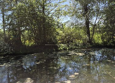 La hutte et son dôme au bord de l’étang  - 22