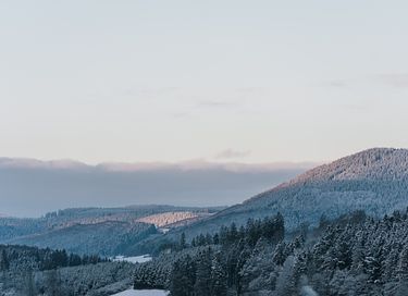 Grand chalet de vacances dans le Sauerland - 35