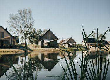Luxe vakantiewoning omringd door de duinen - 6