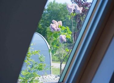 Minuscule house confortable au cœur d'une nature - 13