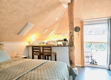 B&B with thatched roof in Drenthe - 14