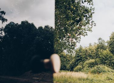 Logement de vacances à l'orée de la forêt avec espace bien-être - 65
