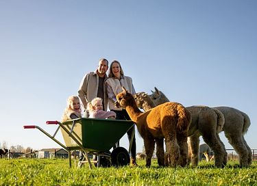 Glamping à la ferme des Alpagas - 19