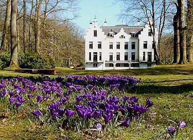 Romantic forest cottage on Veluwe estate - 23