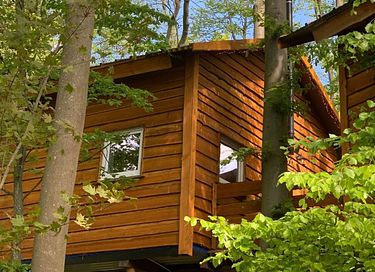 Tree villa for 6 persons