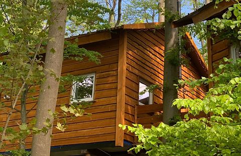 Tree villa for 6 persons - 3
