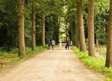 Glamping mit Whirlpool in der Veluwe - 40