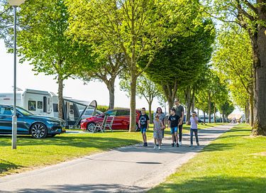 Luxe glampingtent in de Limburgse heuvels - 14