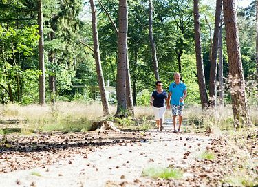 Cabane suspendue dans un beau camping à Drenthe - 17