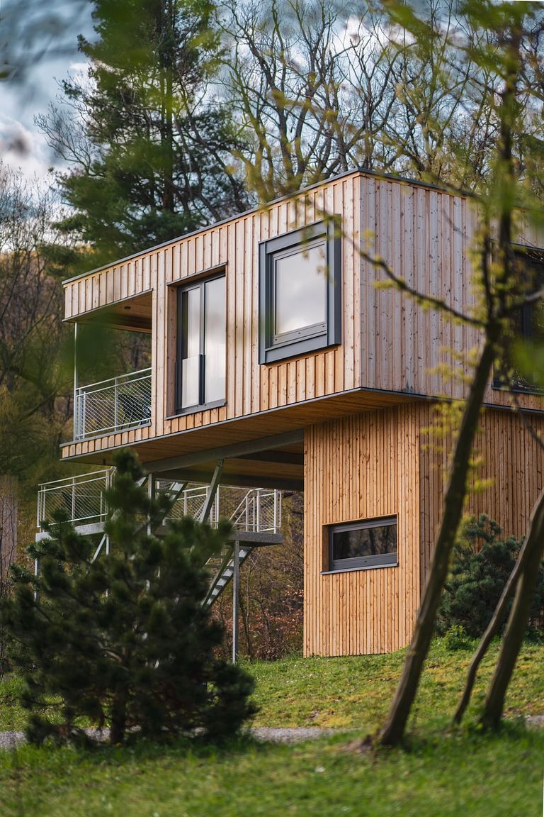 Boomhut met sauna (honden toegestaan) - 1