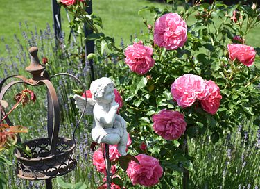 Ferielejlighed med balkon og rosenhave - 26