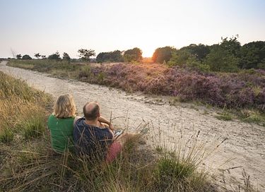 Luxuriöse Lodge für 4 Personen mit 2 Badezimmern und Spa - 37