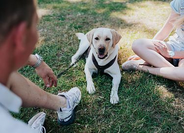 Vakantiehuis in Gelderland (honden welkom) - 46