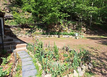 Selbstversorgendes Übernachten im Wald - 26