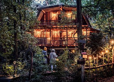 Cabane dans les arbes luxueuse et spacieuse pour 6 personnes