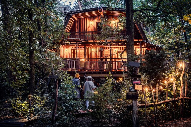 Luxe en ruime boomhut voor 6 personen - 1