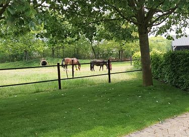 Sfeervolle B&B met uitzicht op paardenweide - 24