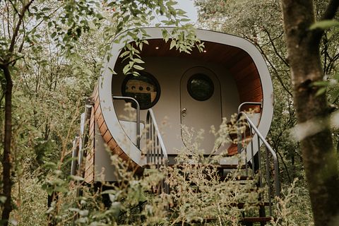Logement original sur pilotis dans la forêt - 2