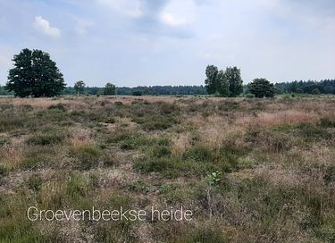 Natuurhuisje met omheinde tuin - 26
