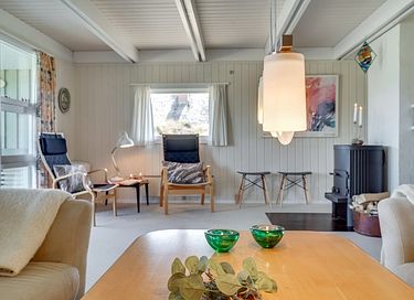 Rietgedekt vakantiehuis in Denemarken - 26