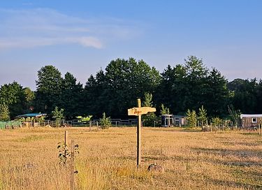 Restful gypsy caravan with panoramic views - 4