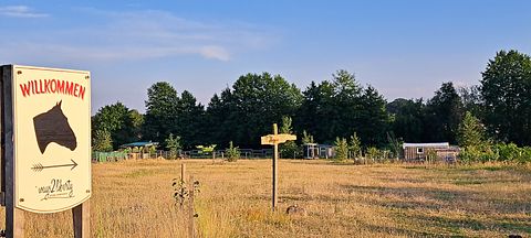 Restful gypsy caravan with panoramic views - 4