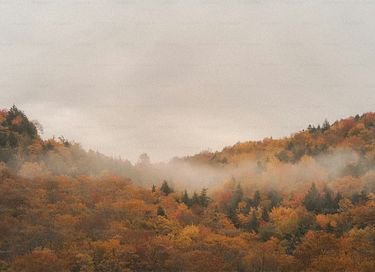 Ruhig gelegenes Jagdhaus in der Eifel - 20