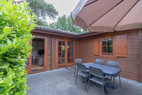 Vacation chalet in a hilly landscape - 2