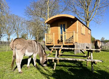 Gemütlicher Wohnwagen auf dem belgischen Land