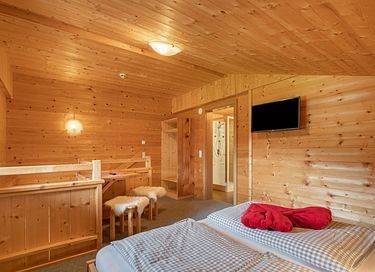 Vakantiehuis in Mayrhofen (20P) - 29