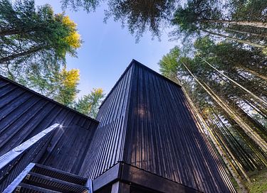 Luxury treehouse with sauna in the Ardennes - 5