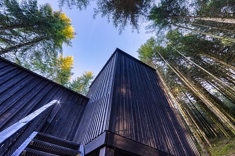 Luxury treehouse with sauna in the Ardennes - 5