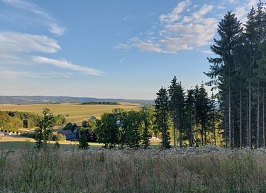 Drempelvrij blokhut in de regio Sauerland - 19
