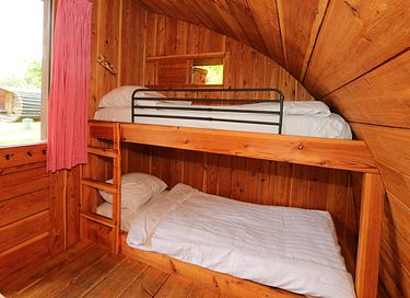 Beautiful nature cabin in Gelderland - 5