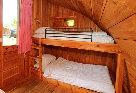 Beautiful nature cabin in Gelderland - 5