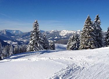 Hotel apartment (2p) in Austria - 26