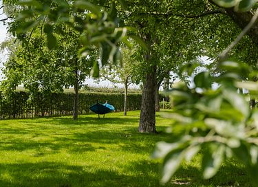 Luxe wellness verblijf dichtbij Maastricht - 38